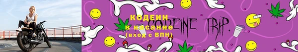 дживик Нязепетровск