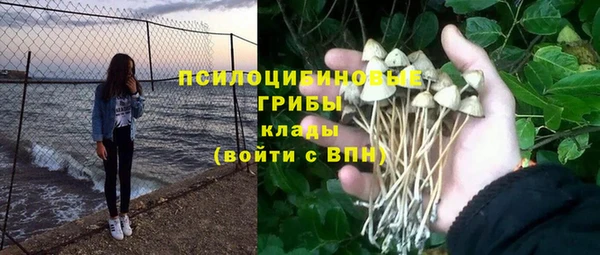 a pvp Нефтекумск