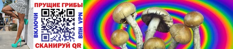 Галлюциногенные грибы Cubensis  Первомайск 